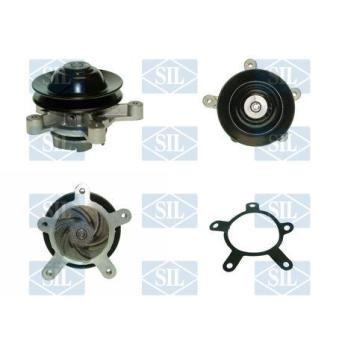 Pompe à eau Saleri SIL PA105P