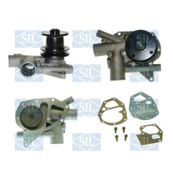 Pompe à eau Saleri SIL PA115P