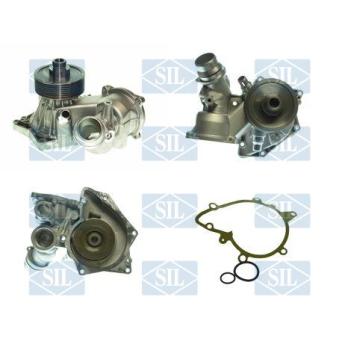 Pompe à eau Saleri SIL PA1228