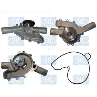 Pompe à eau Saleri SIL PA1257