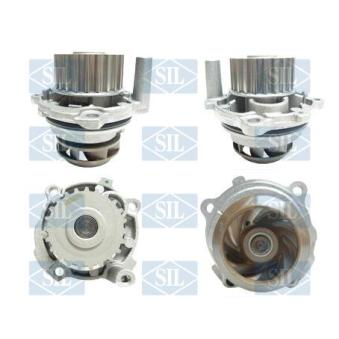 Pompe à eau Saleri SIL PA1270A