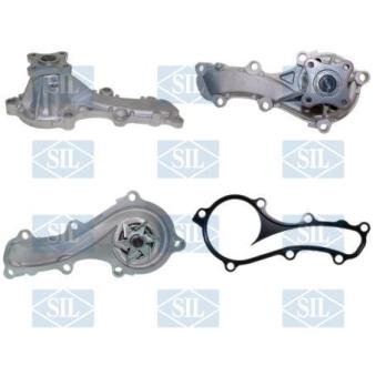 Pompe à eau Saleri SIL