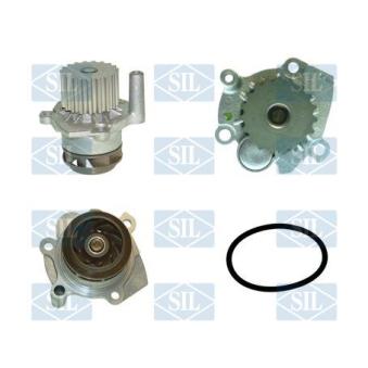 Pompe à eau Saleri SIL