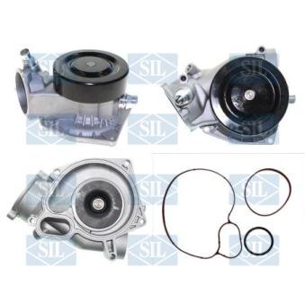 Pompe à eau Saleri SIL PA1466