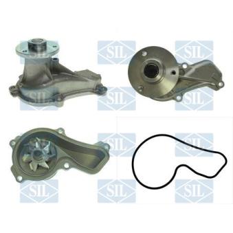 Pompe à eau Saleri SIL