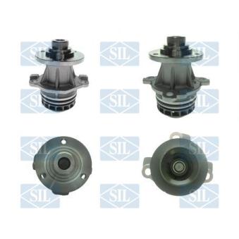 Pompe à eau Saleri SIL