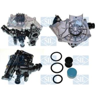 Kit pompe à eau Saleri SIL