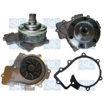 Pompe à eau Saleri SIL