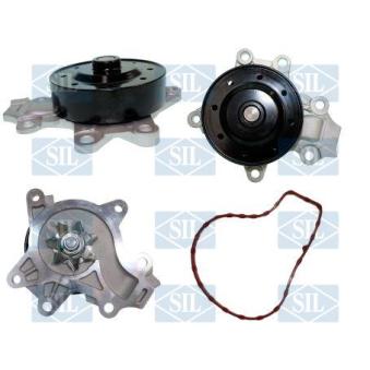 Pompe à eau, refroidissement du moteur Saleri SIL