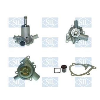 Pompe à eau Saleri SIL PA224