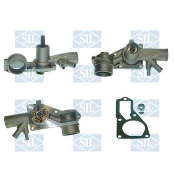 Pompe à eau Saleri SIL PA351