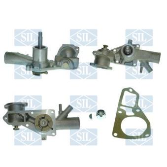 Pompe à eau Saleri SIL PA361