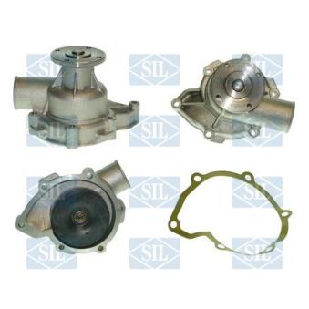 Pompe à eau Saleri SIL PA387