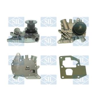 Pompe à eau Saleri SIL PA394P