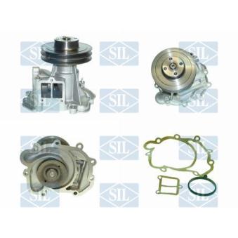 Pompe à eau Saleri SIL