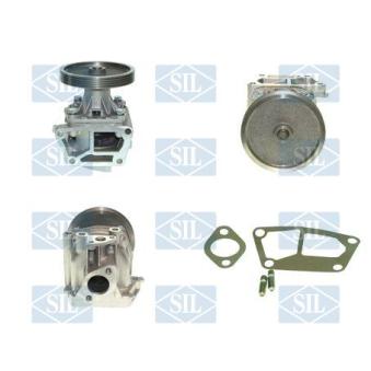 Pompe à eau Saleri SIL PA534P