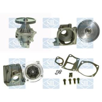 Pompe à eau Saleri SIL PA627P