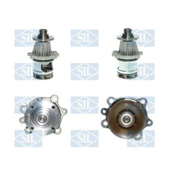 Pompe à eau Saleri SIL