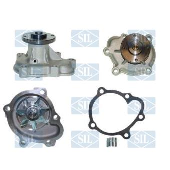 Pompe à eau Saleri SIL