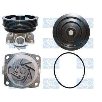 Pompe à eau Saleri SIL