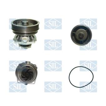 Pompe à eau Saleri SIL PA857