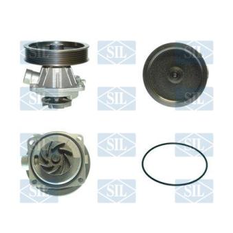 Pompe à eau Saleri SIL PA859