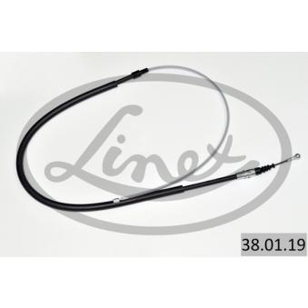 Tirette à câble, frein de stationnement LINEX 38.01.19