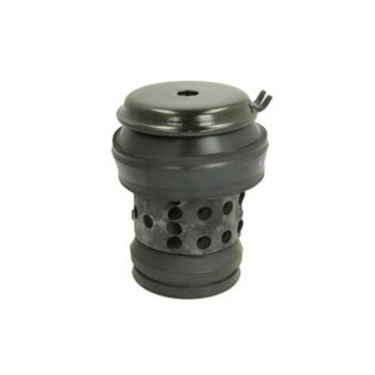 Support moteur REINHOCH RH11-0018