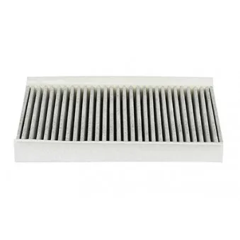 Filtre, air de l'habitacle BSG BSG 15-145-001