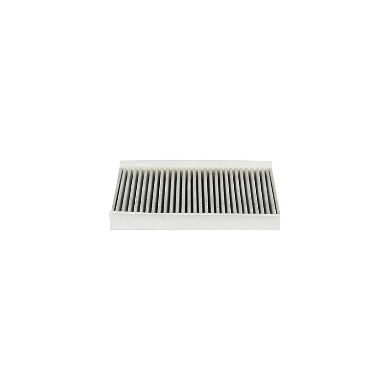 Filtre, air de l'habitacle BSG BSG 15-145-001