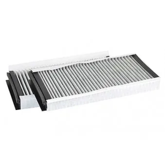 Filtre, air de l'habitacle BSG BSG 15-145-006