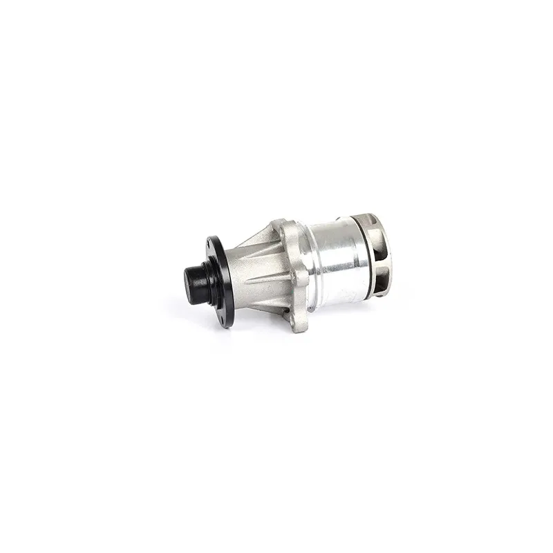 Pompe à eau BSG BSG 15-500-005