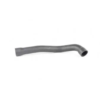 Durite de radiateur BSG BSG 15-720-031