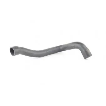 Durite de radiateur BSG BSG 15-720-032