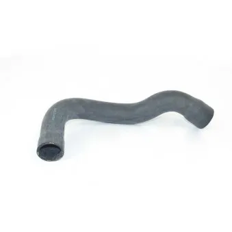 Durite de radiateur BSG BSG 15-720-047