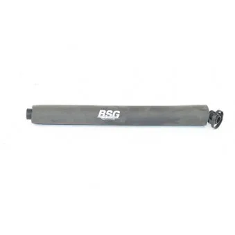 Tuyau, ventilation de carter-moteur BSG BSG 15-720-072