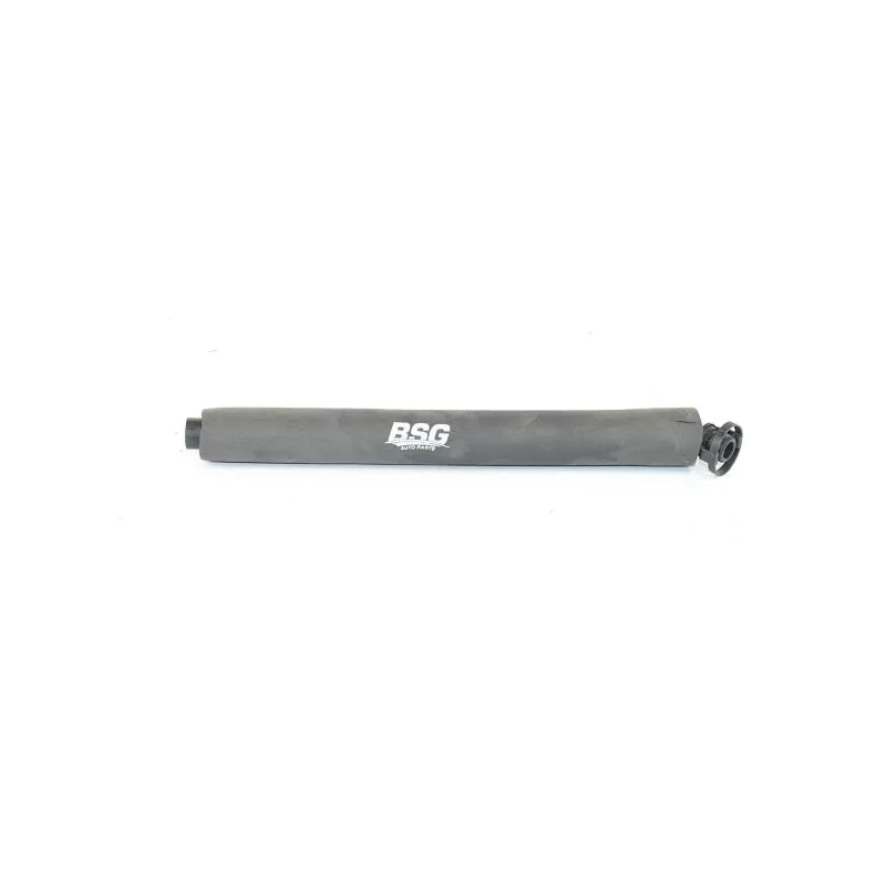 Tuyau, ventilation de carter-moteur BSG BSG 15-720-072