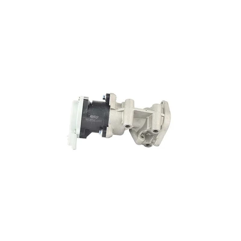 Vanne EGR BSG BSG 15-836-001