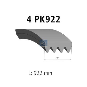 Courroie trapézoïdale à nervures DT 13.43509SP