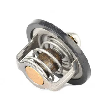 Thermostat d'eau BSG BSG 16-125-002