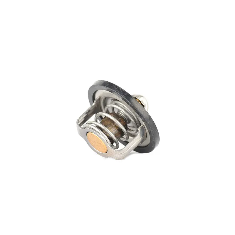 Thermostat d'eau BSG BSG 16-125-002