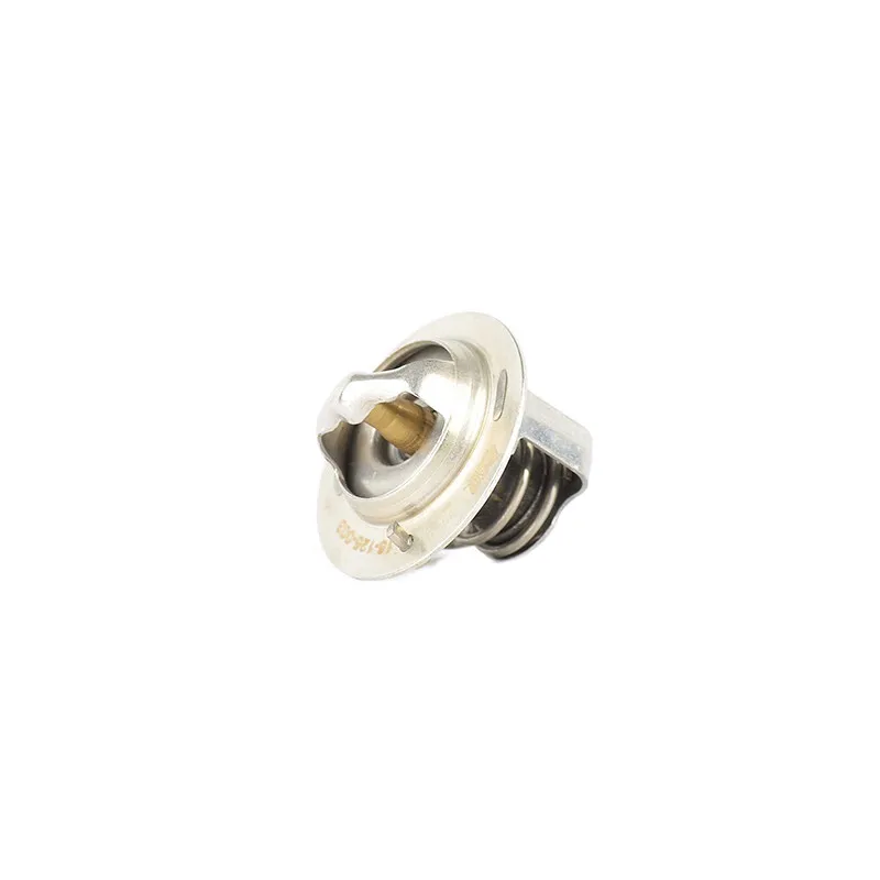 Thermostat d'eau BSG BSG 16-125-003