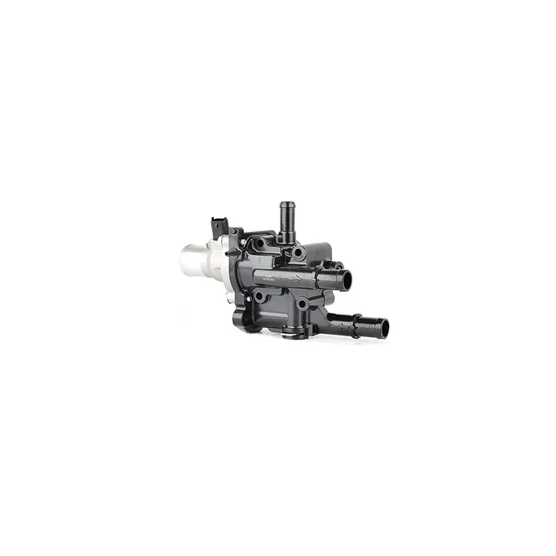Boîtier du thermostat BSG BSG 16-125-004
