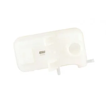 Vase d'expansion, liquide de refroidissement BSG