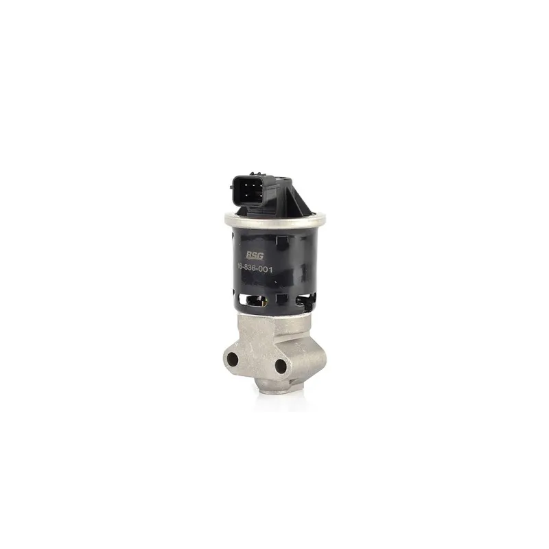 Vanne EGR BSG BSG 16-836-001