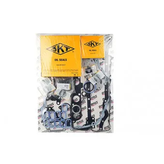 Pochette moteur complète BSG