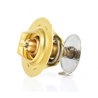 Thermostat d'eau BSG BSG 30-125-001