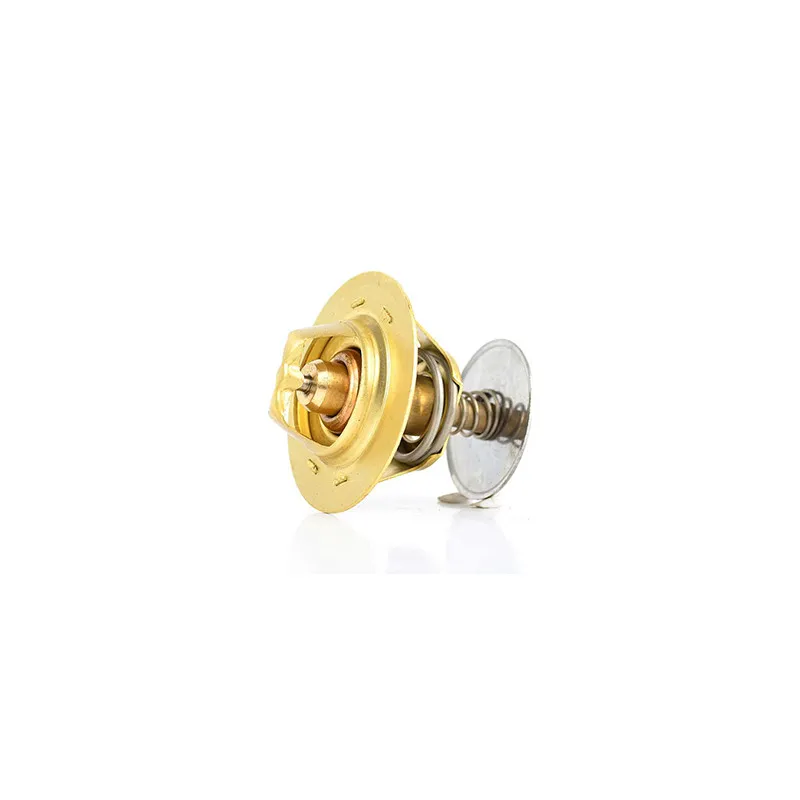 Thermostat d'eau BSG BSG 30-125-001