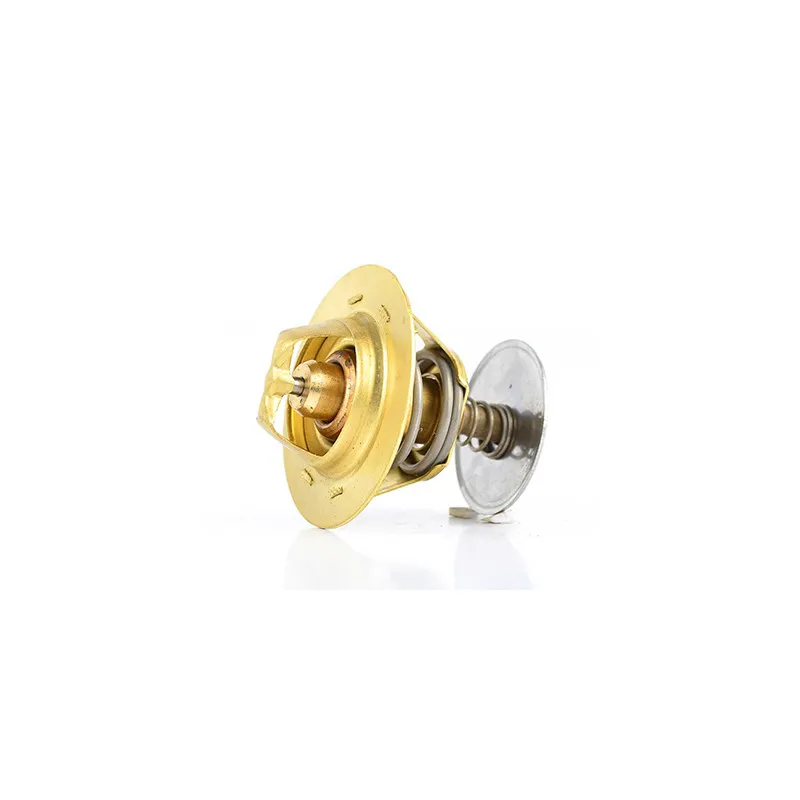 Thermostat d'eau BSG BSG 30-125-002