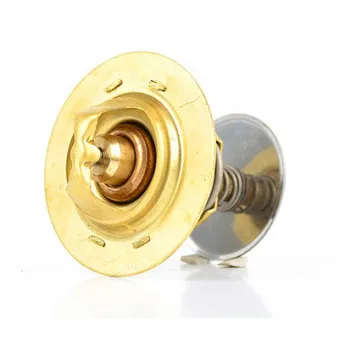 Thermostat d'eau BSG BSG 30-125-004
